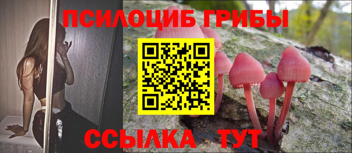 Псилоцибиновые грибы мицелий Джанкой