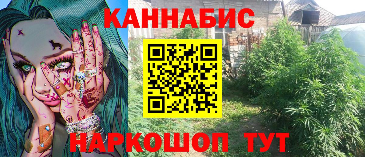 Марихуана сатива Джанкой